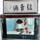 []大量求购各种成色好的机床设备和一些专用设备